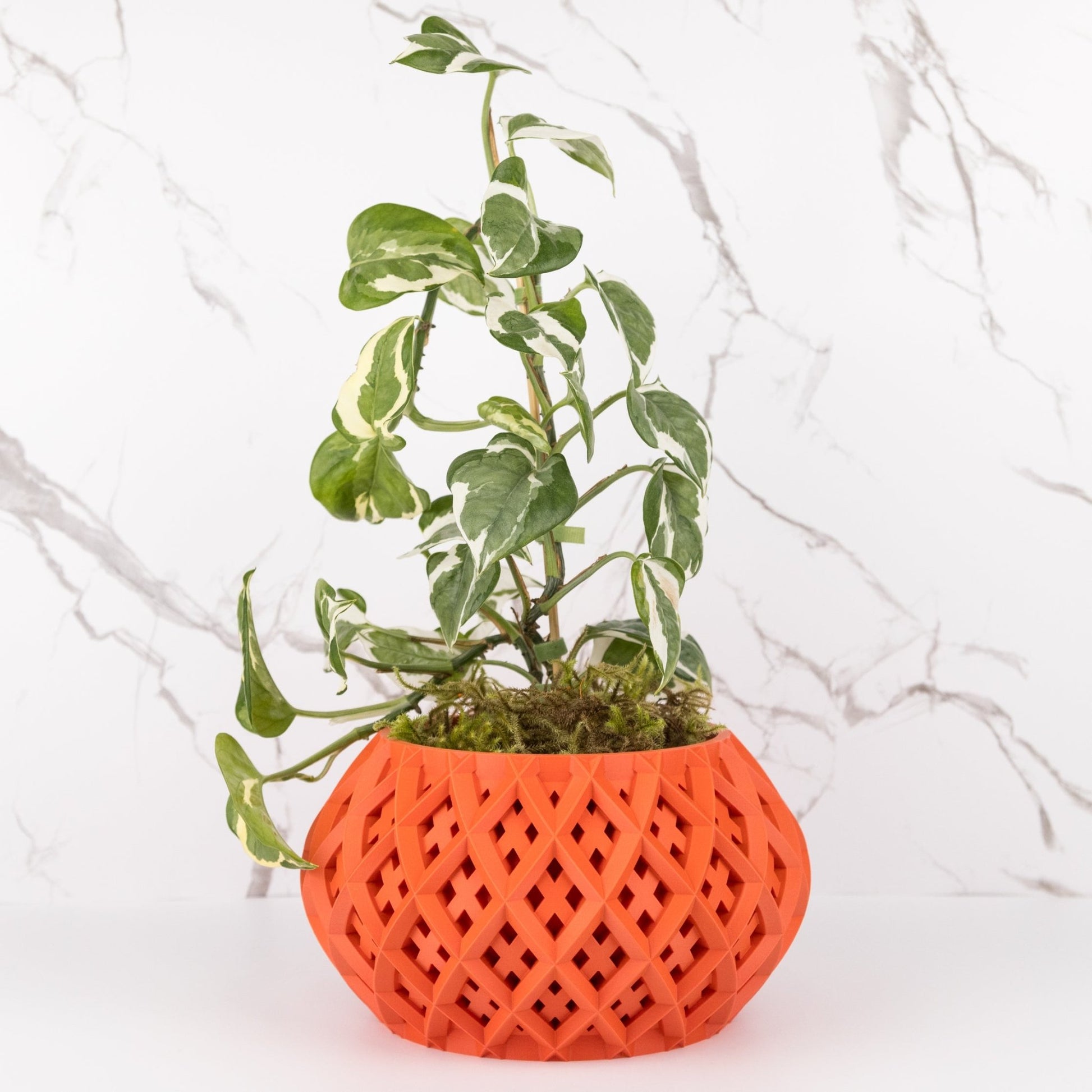 The "Rokio" Planter - Modern Indoor Plant Pot and Container - WG Creative Co.