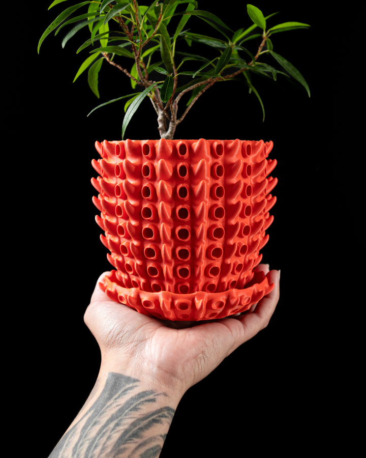 The "Barnacle" Planter - Modern Indoor Plant Pot and Container