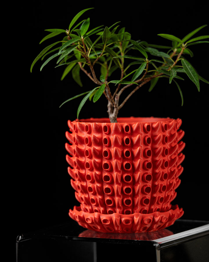 The "Barnacle" Planter - Modern Indoor Plant Pot and Container