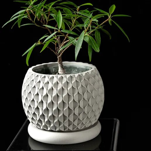 The "Bloom" Planter - Modern Indoor Plant Pot and Container - WG Creative Co.