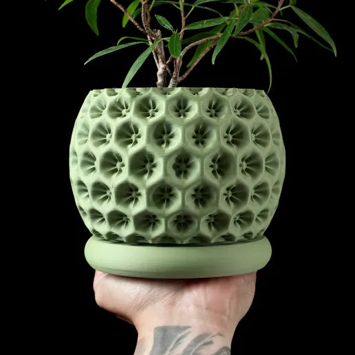 The "Spore" Planter – Modern Indoor Plant Pot and Container