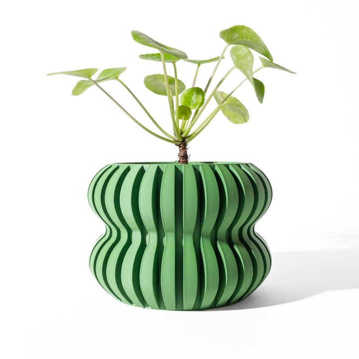 The "Daso" Planter – Modern Indoor Plant Pot and Container