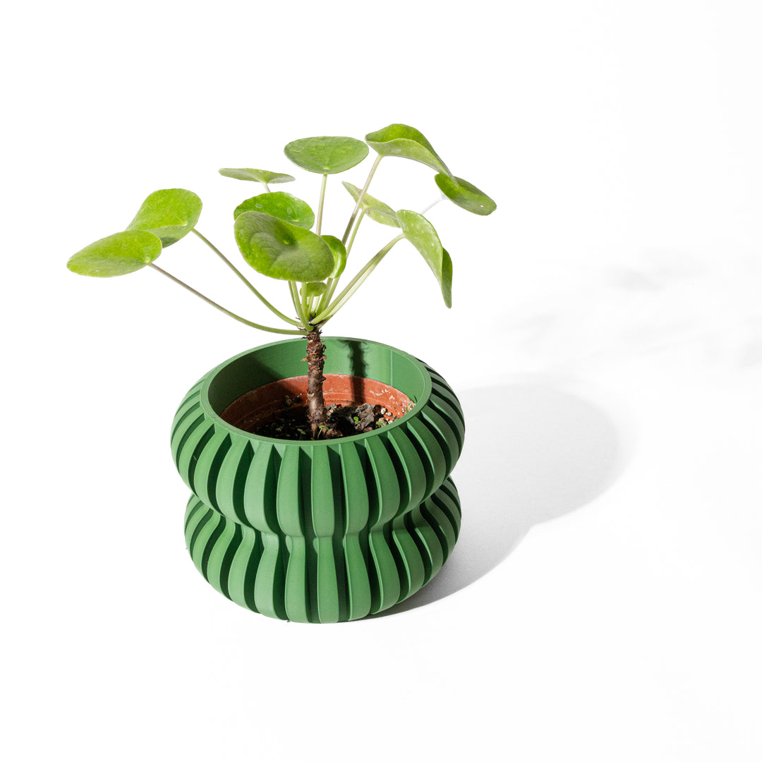 The "Daso" Planter – Modern Indoor Plant Pot and Container