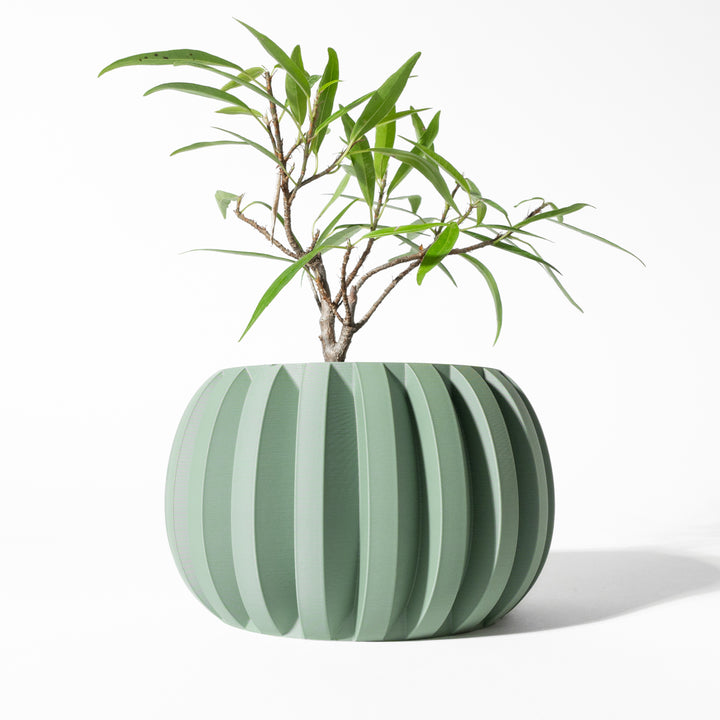 The "Jone" Planter – Modern Indoor Plant Pot and Container