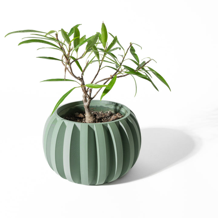 The "Jone" Planter – Modern Indoor Plant Pot and Container