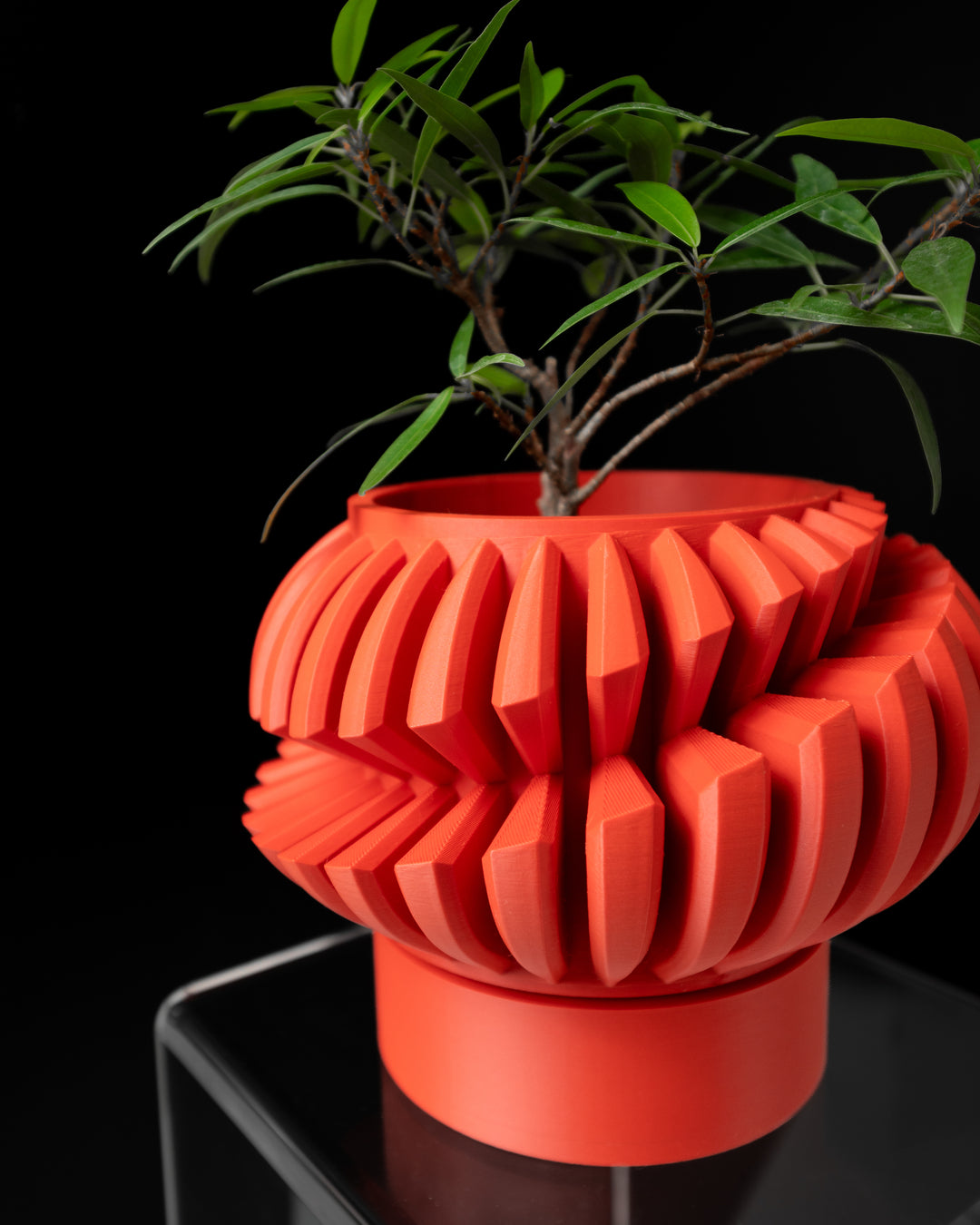The "Luxira" Planter - Modern Indoor Plant Pot and Container
