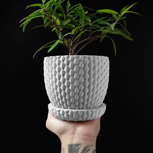 The "Dragonscale" Planter - Modern Indoor Plant Pot and Container - WG Creative Co.