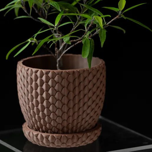 The "Dragonscale" Planter - Modern Indoor Plant Pot and Container - WG Creative Co.