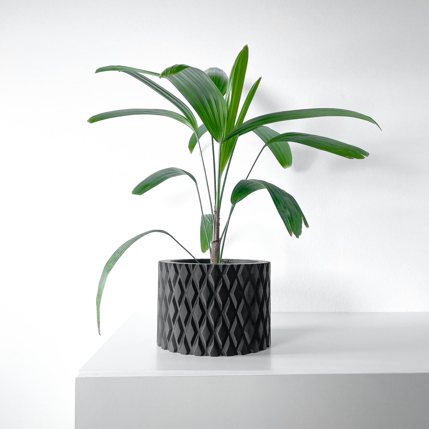 The "Pexil" Planter - Modern Indoor Plant Pot and Container