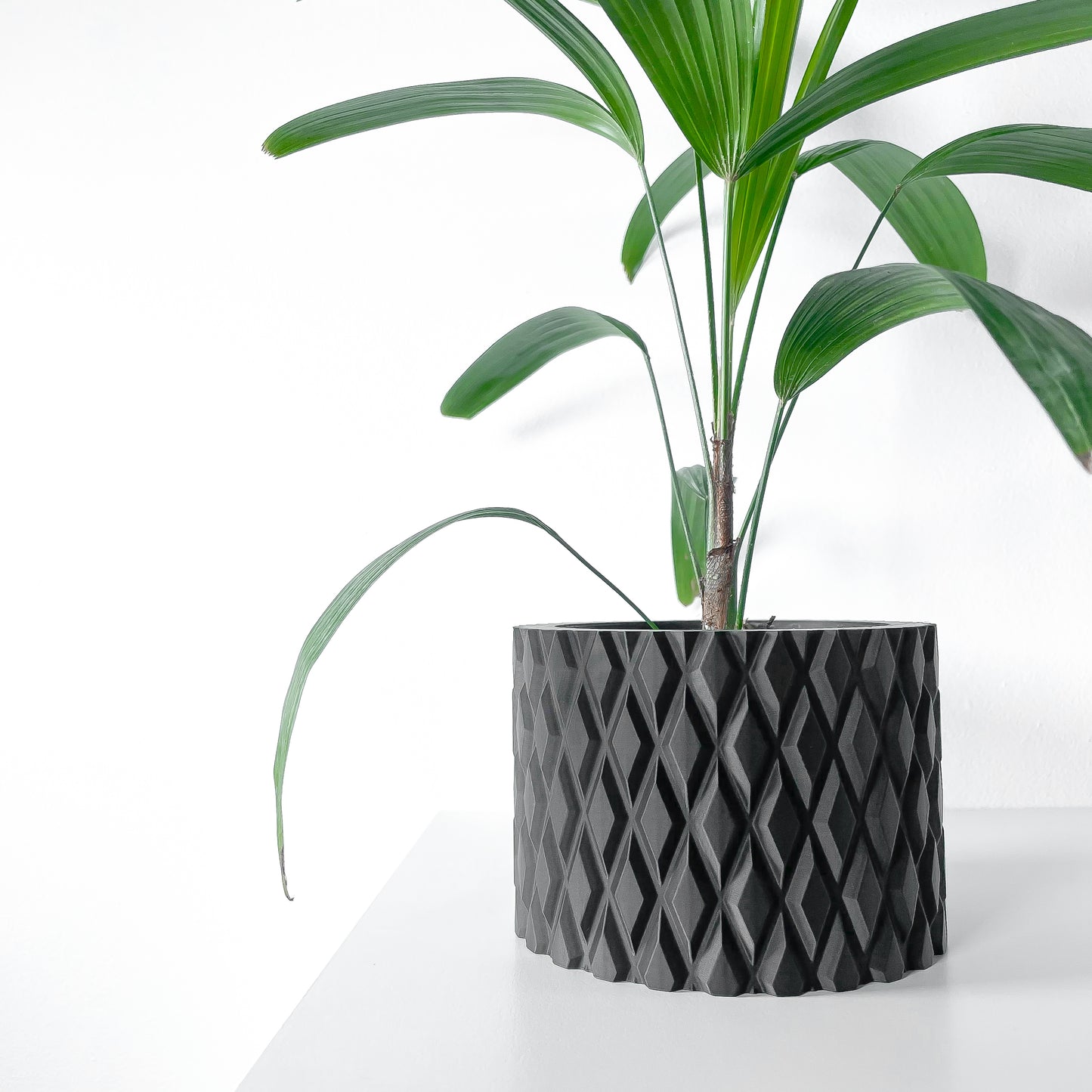 The "Pexil" Planter - Modern Indoor Plant Pot and Container