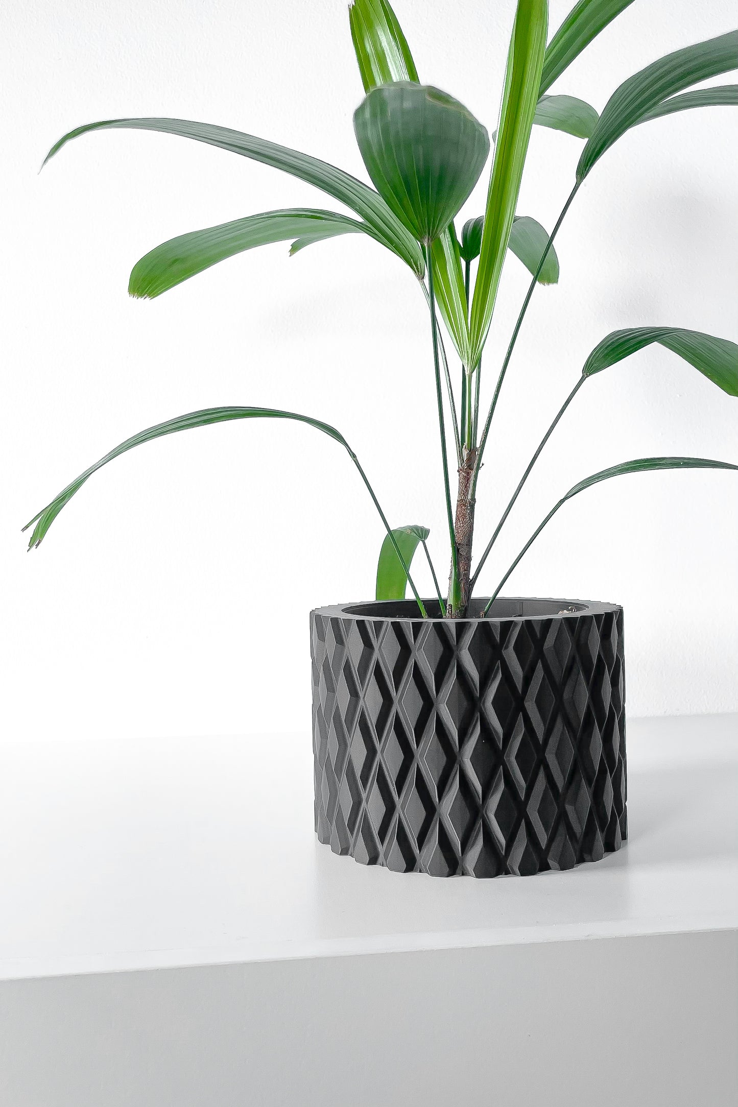 The "Pexil" Planter - Modern Indoor Plant Pot and Container