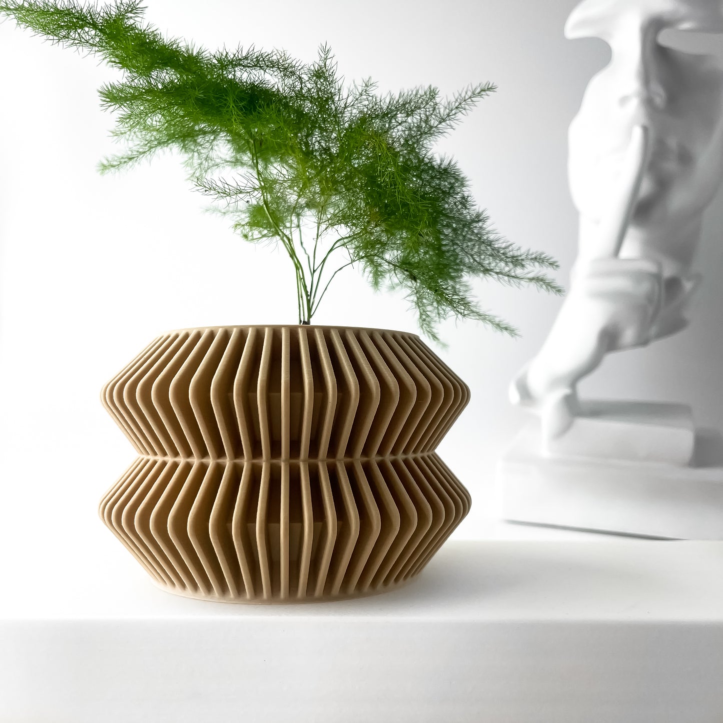 The "Rodel" Planter - Modern Indoor Plant Pot and Container