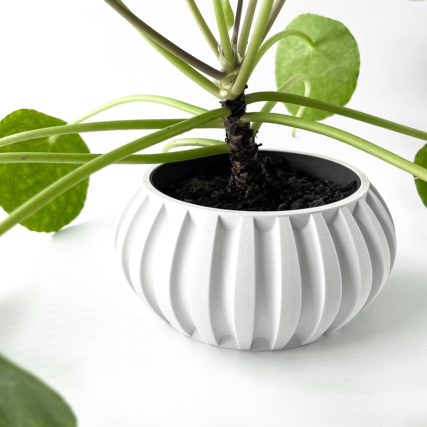 The "Alden" Planter - Modern Indoor Plant Pot and Container - WG Creative Co.