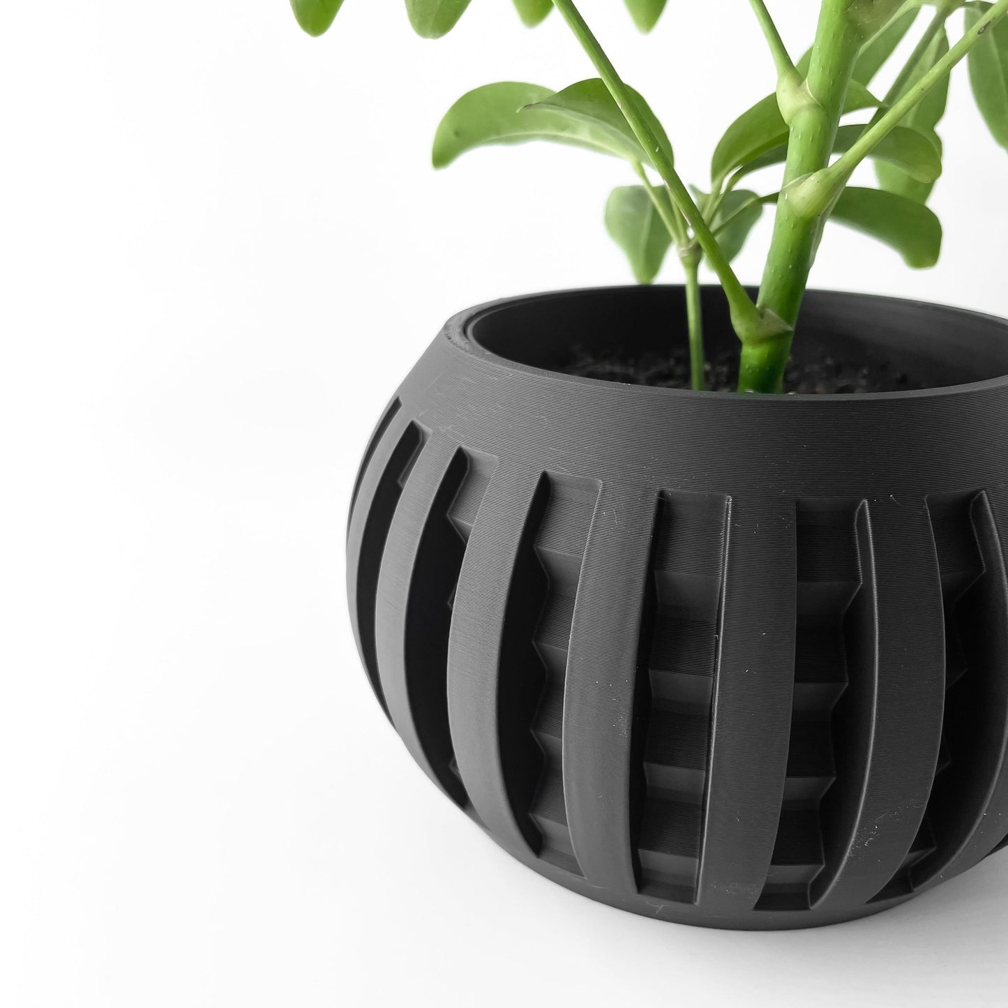 The "Amada" Planter - Modern Indoor Plant Pot and Container - WG Creative Co.