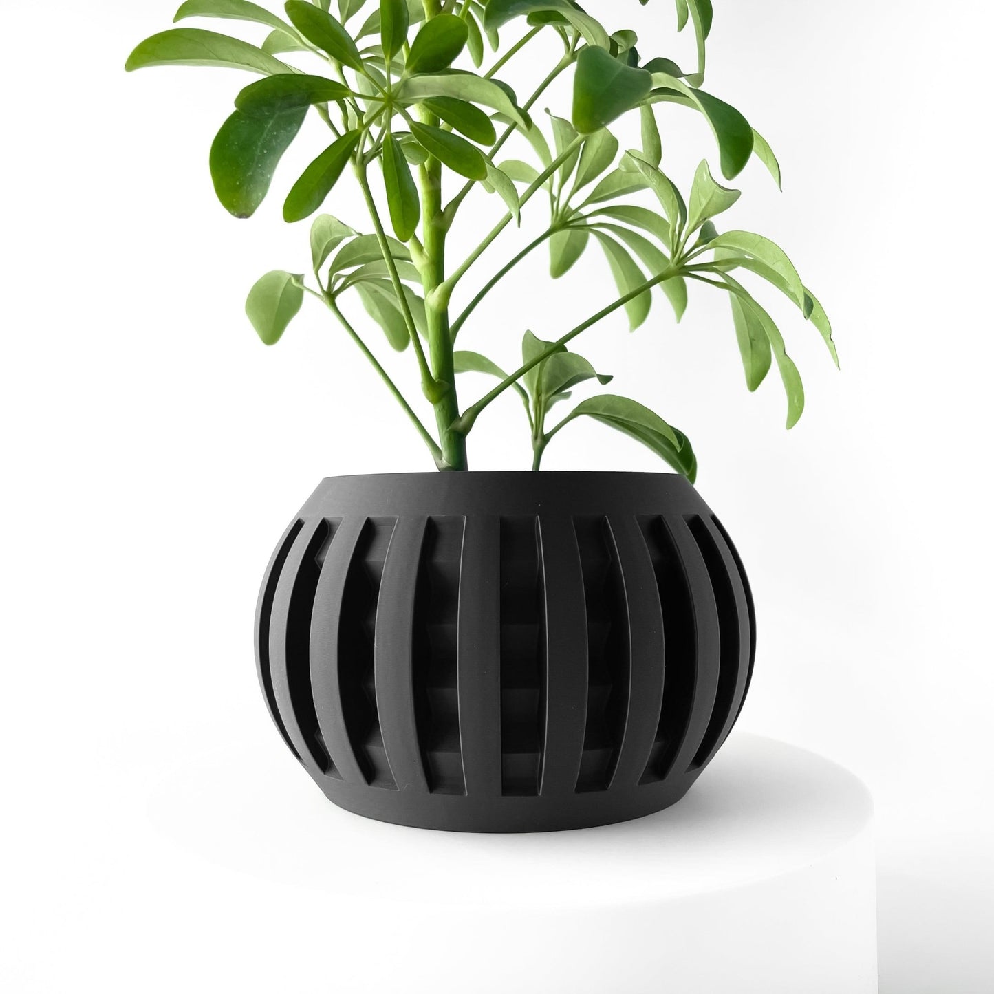 The "Amada" Planter - Modern Indoor Plant Pot and Container - WG Creative Co.