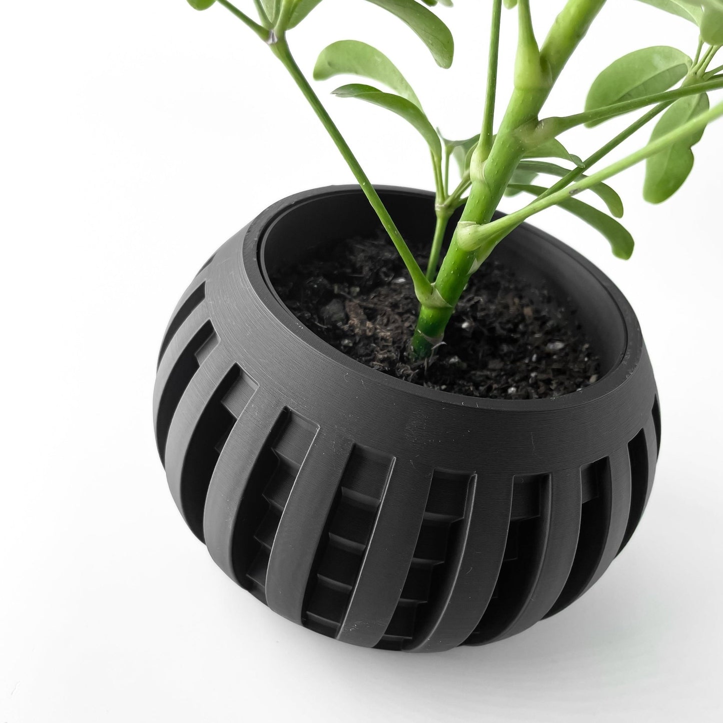 The "Amada" Planter - Modern Indoor Plant Pot and Container - WG Creative Co.