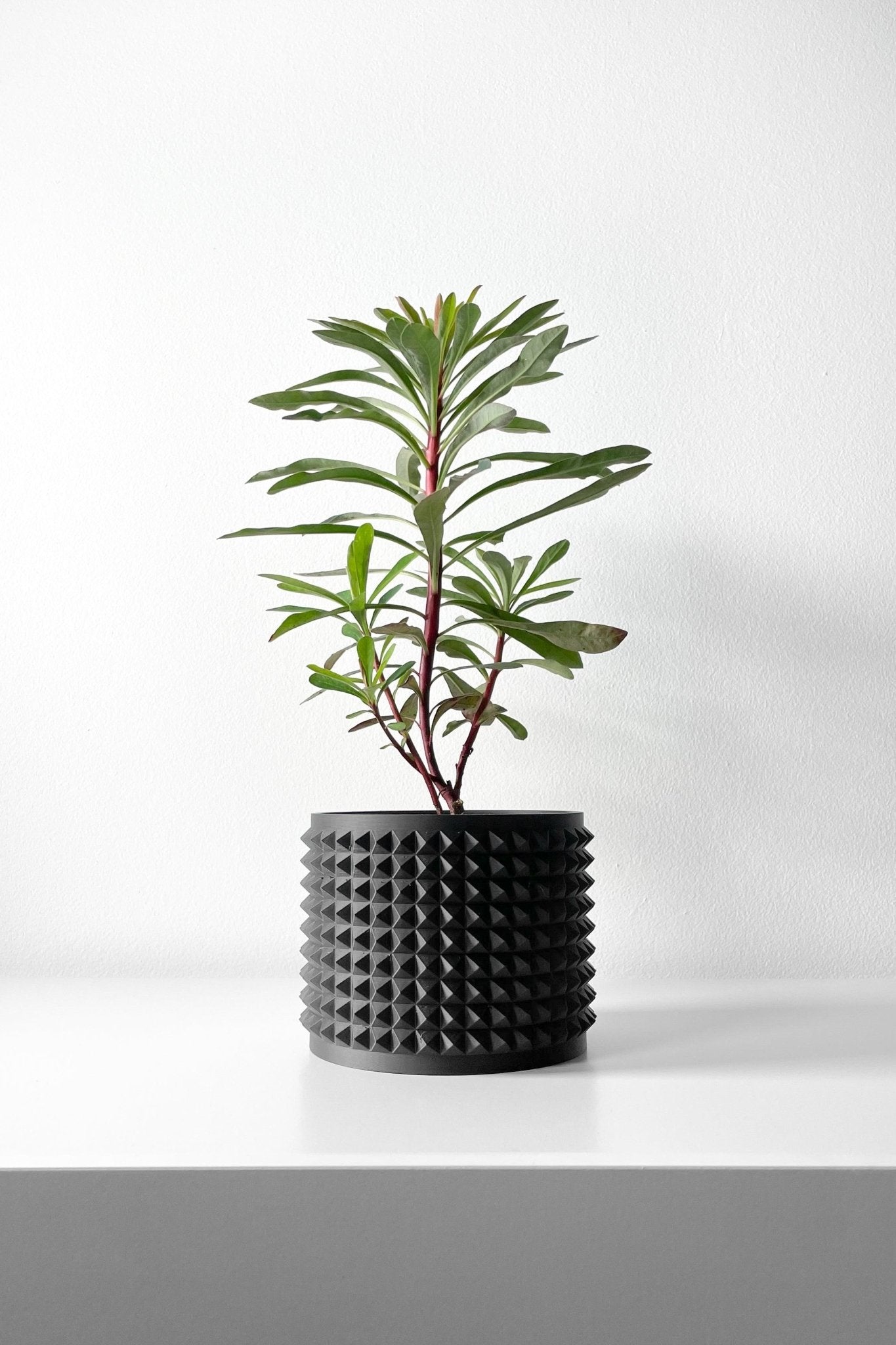 The "Anver" Planter - Modern Indoor Plant Pot and Container - WG Creative Co.