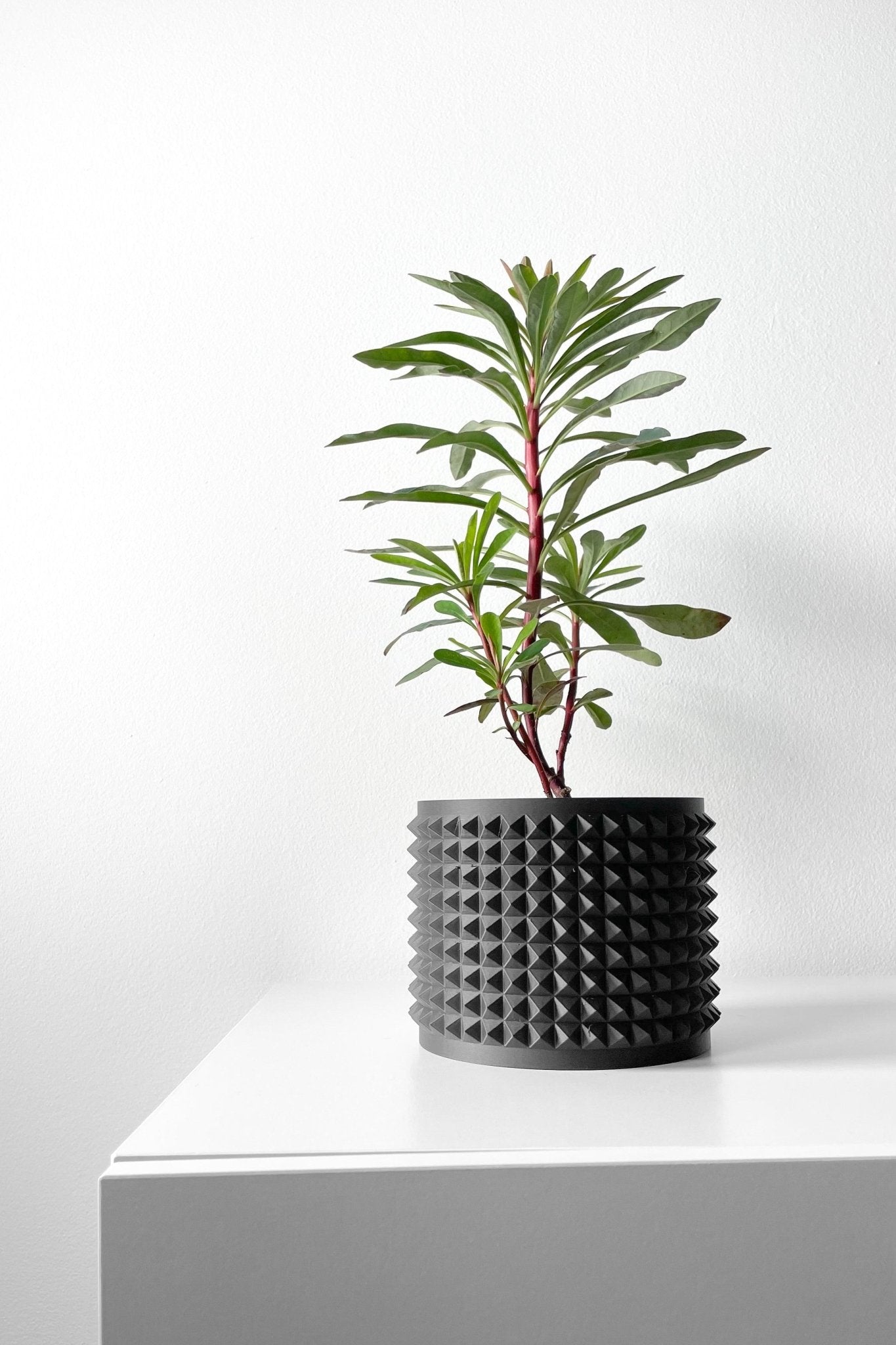 The "Anver" Planter - Modern Indoor Plant Pot and Container - WG Creative Co.