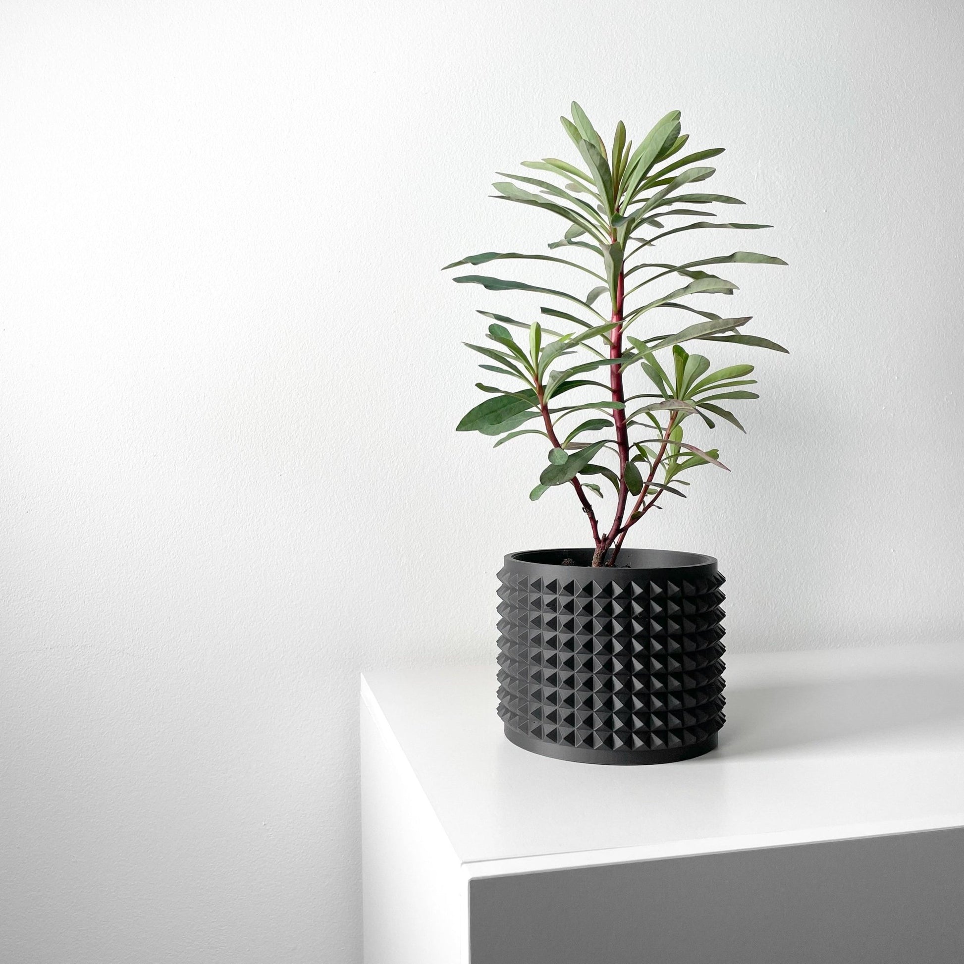 The "Anver" Planter - Modern Indoor Plant Pot and Container - WG Creative Co.