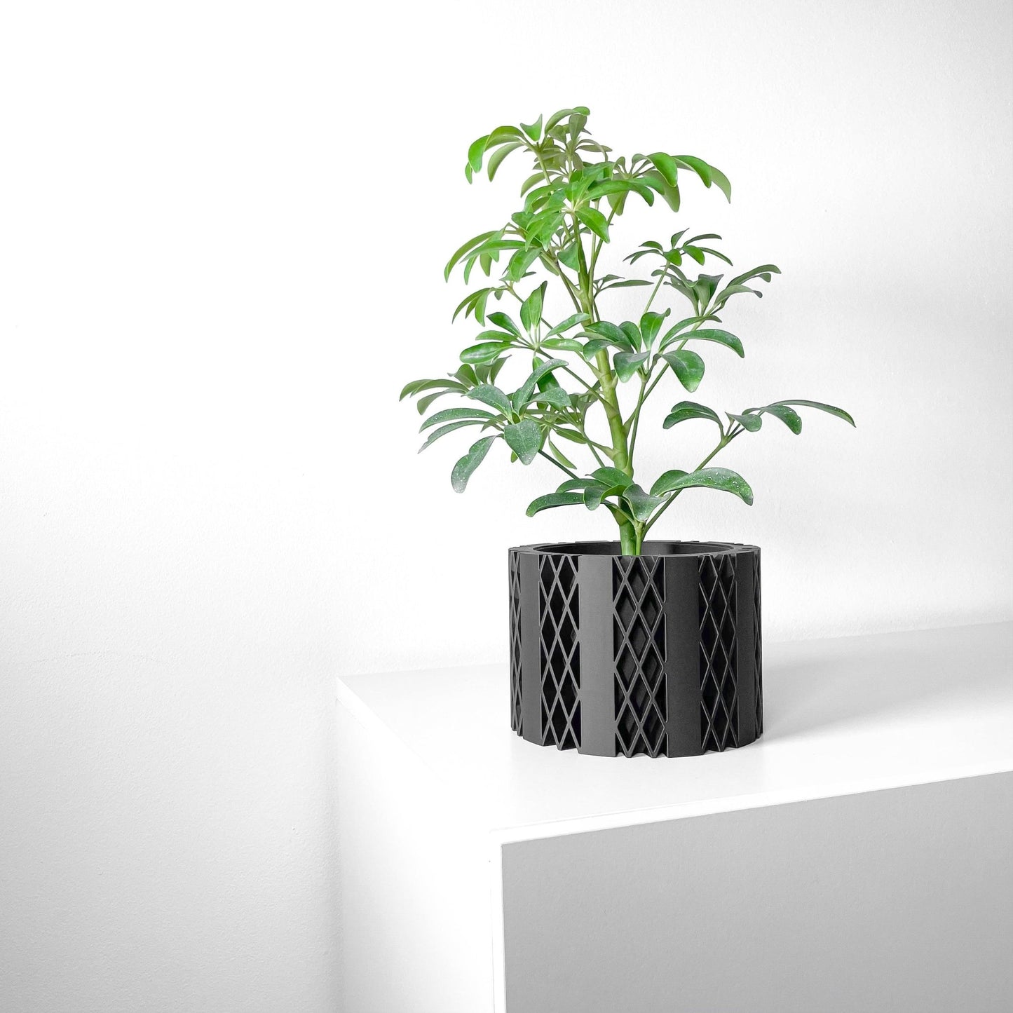 The "Arven" Planter - Modern Indoor Plant Pot and Container - WG Creative Co.