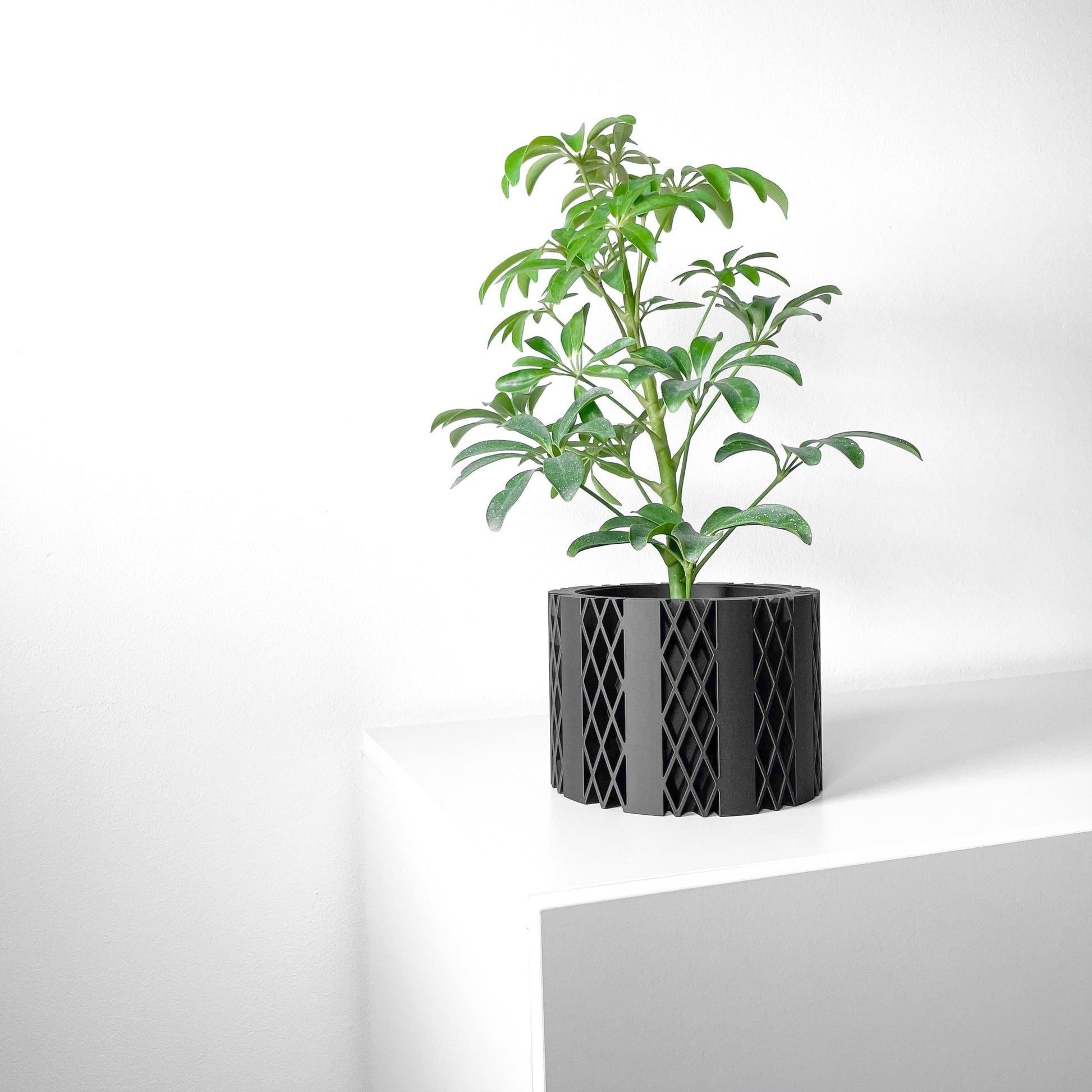 The "Arven" Planter - Modern Indoor Plant Pot and Container - WG Creative Co.