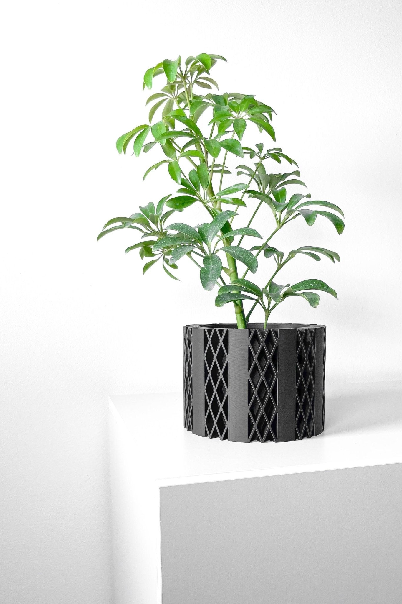 The "Arven" Planter - Modern Indoor Plant Pot and Container - WG Creative Co.