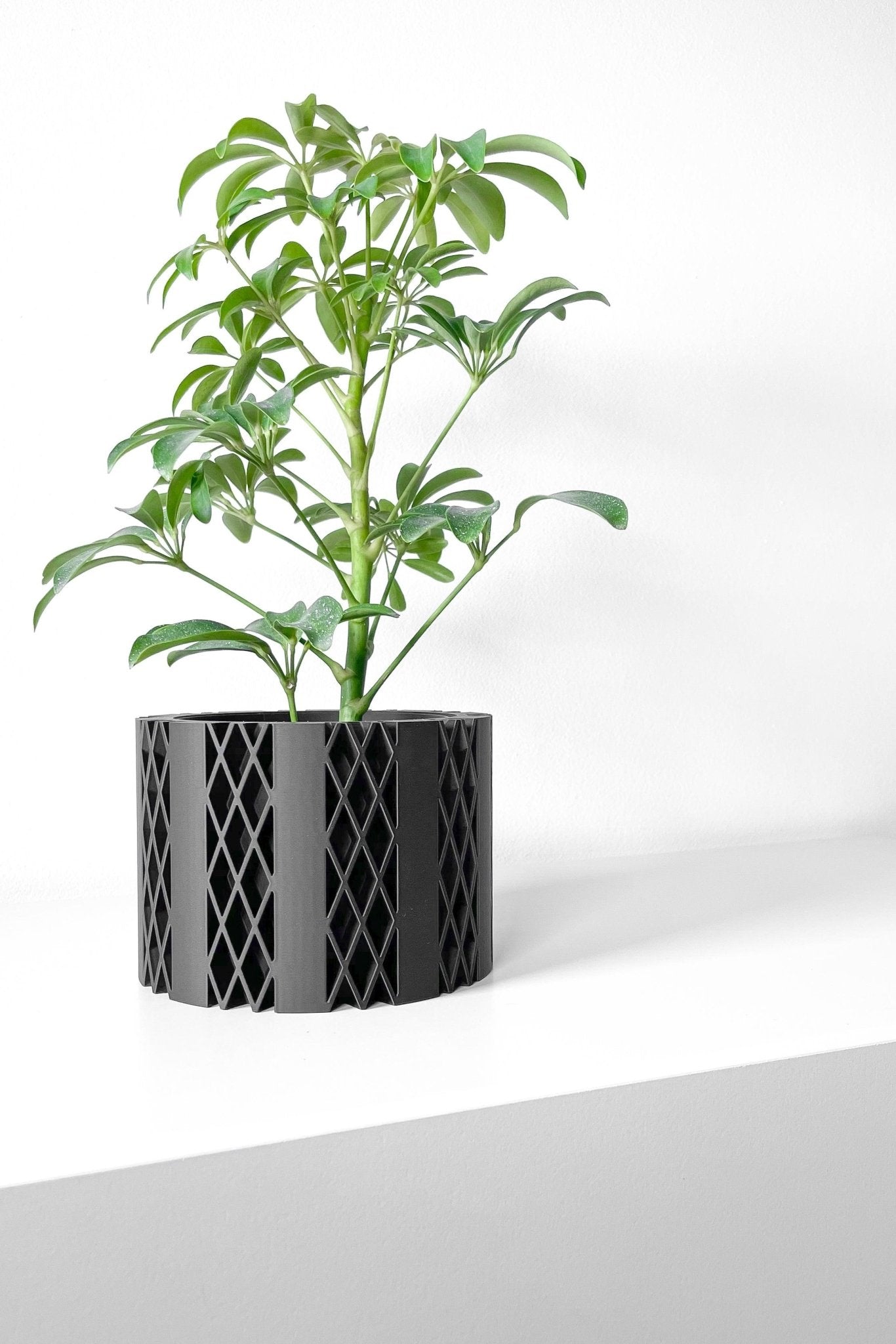 The "Arven" Planter - Modern Indoor Plant Pot and Container - WG Creative Co.