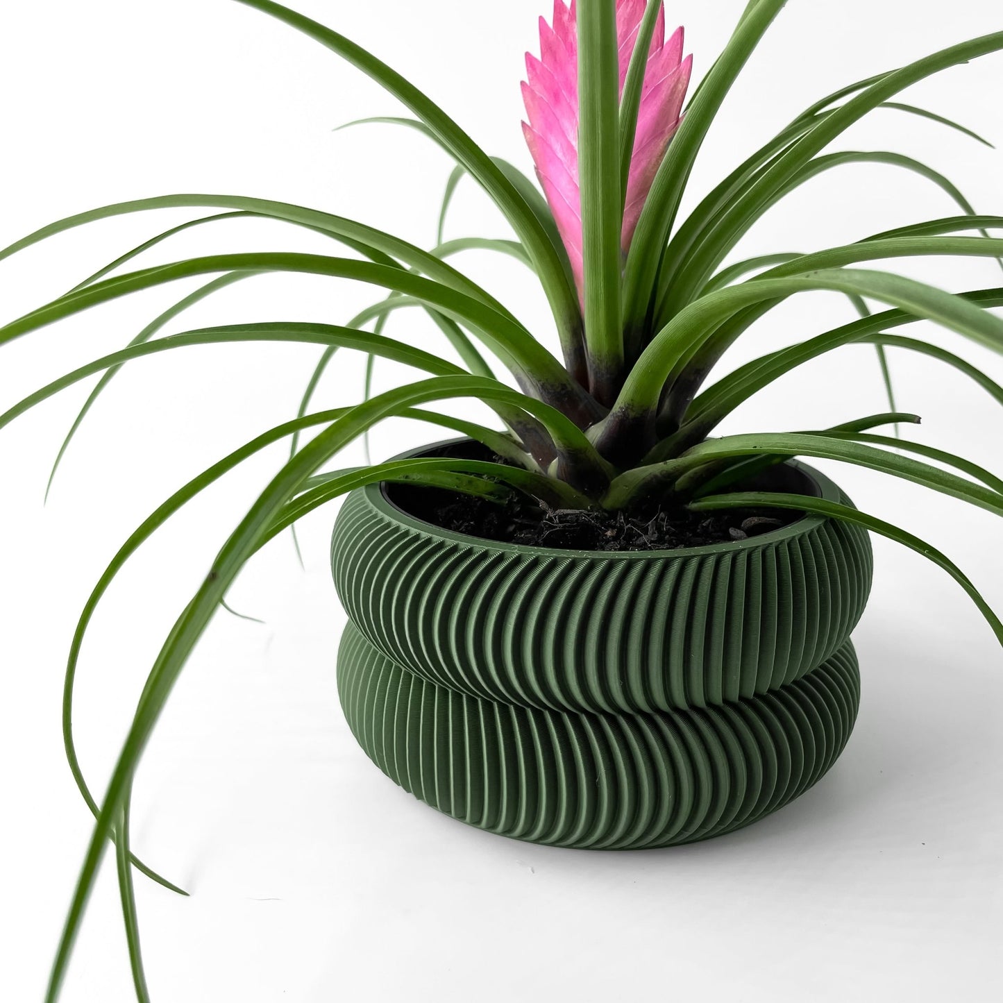 The "Avex" Planter - Modern Indoor Plant Pot and Container - WG Creative Co.