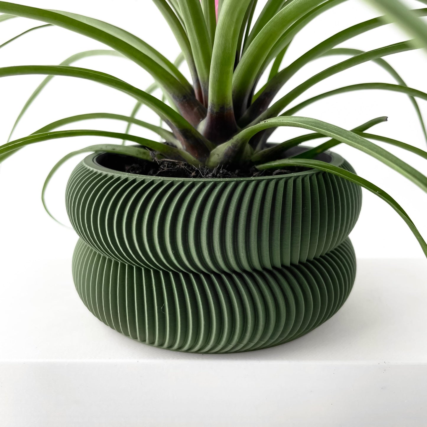 The "Avex" Planter - Modern Indoor Plant Pot and Container - WG Creative Co.