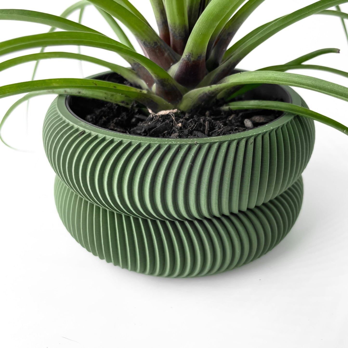 The "Avex" Planter - Modern Indoor Plant Pot and Container - WG Creative Co.