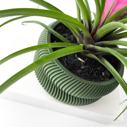 The "Avex" Planter - Modern Indoor Plant Pot and Container - WG Creative Co.