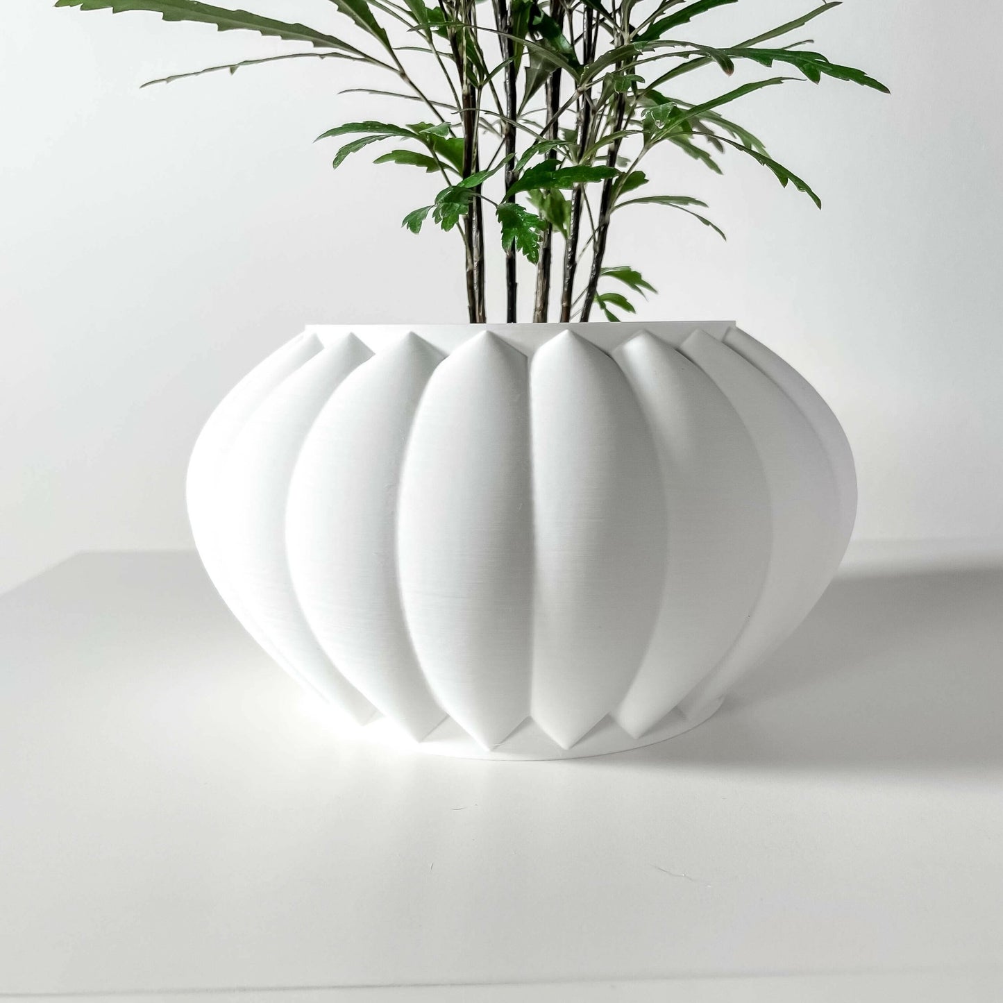 The "Bunos" Planter - Modern Indoor Plant Pot and Container - WG Creative Co.