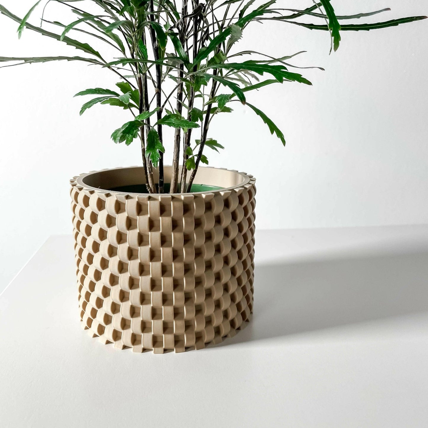 The "Cheo" Planter - Modern Indoor Plant Pot and Container - WG Creative Co.