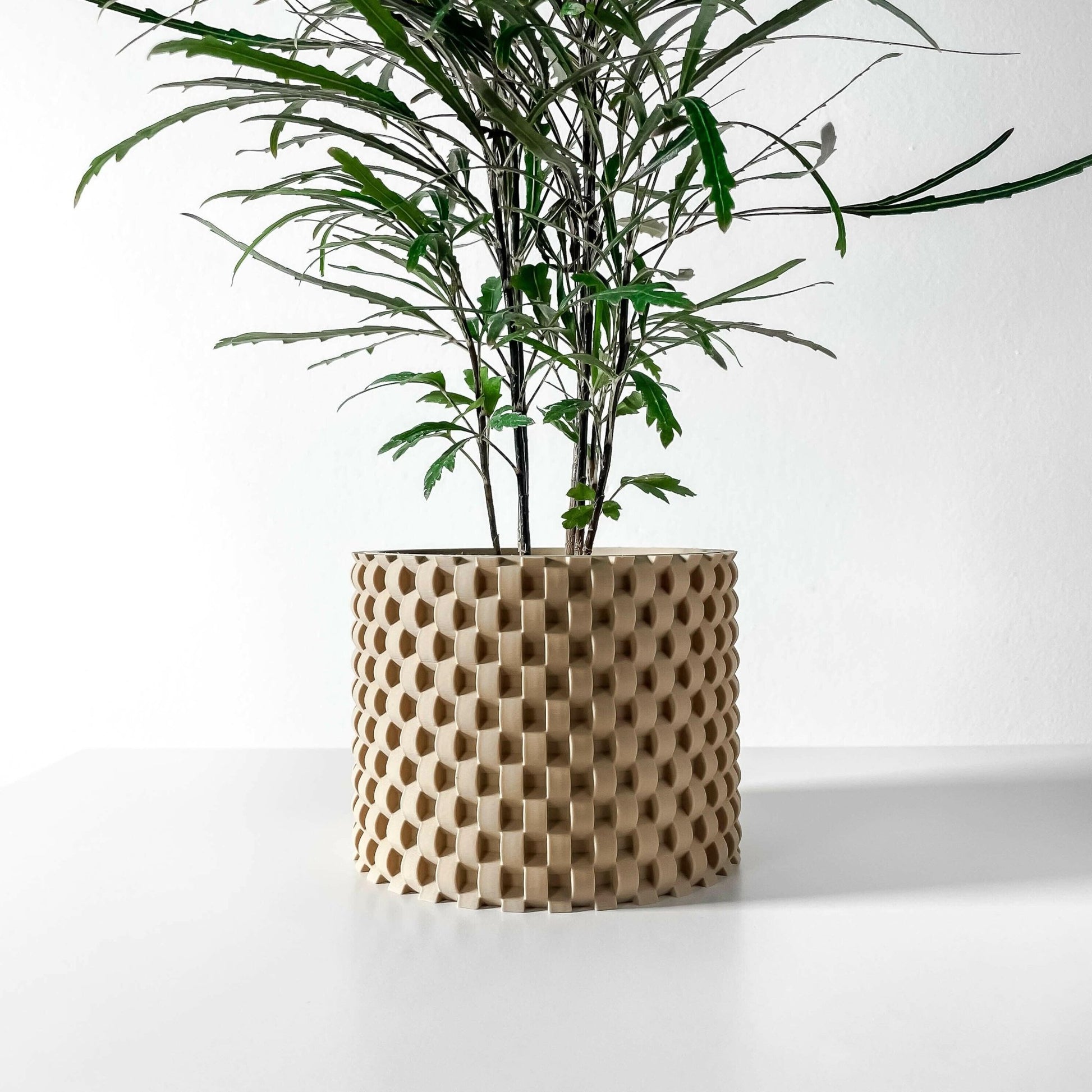 The "Cheo" Planter - Modern Indoor Plant Pot and Container - WG Creative Co.