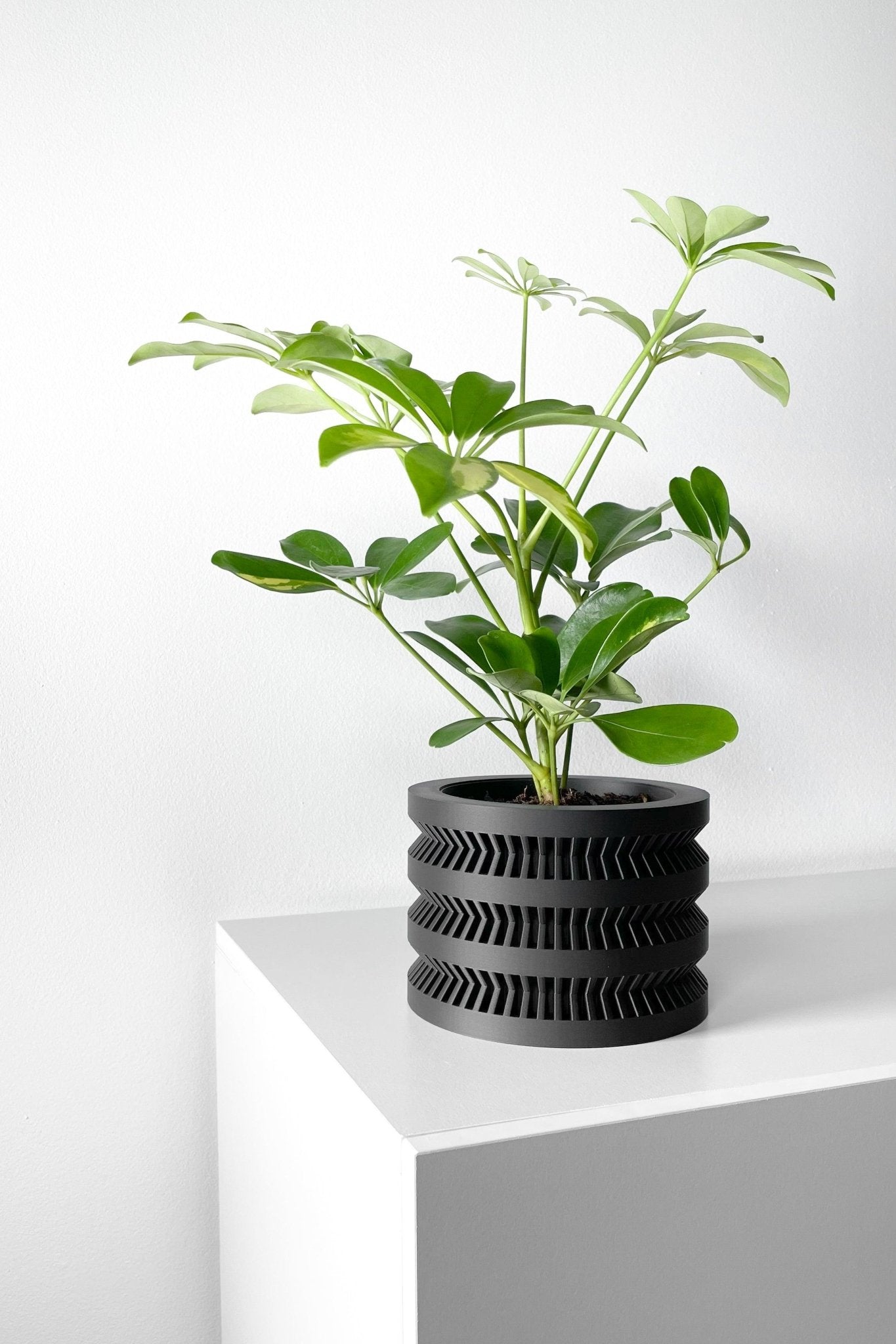 The "Civen" Planter - Modern Indoor Plant Pot and Container - WG Creative Co.