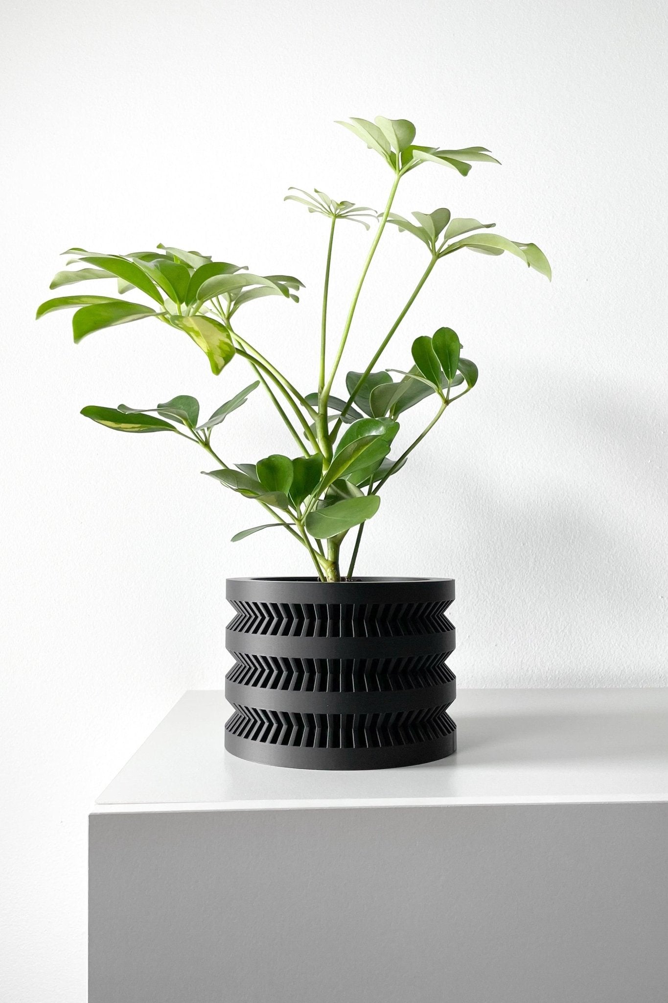 The "Civen" Planter - Modern Indoor Plant Pot and Container - WG Creative Co.