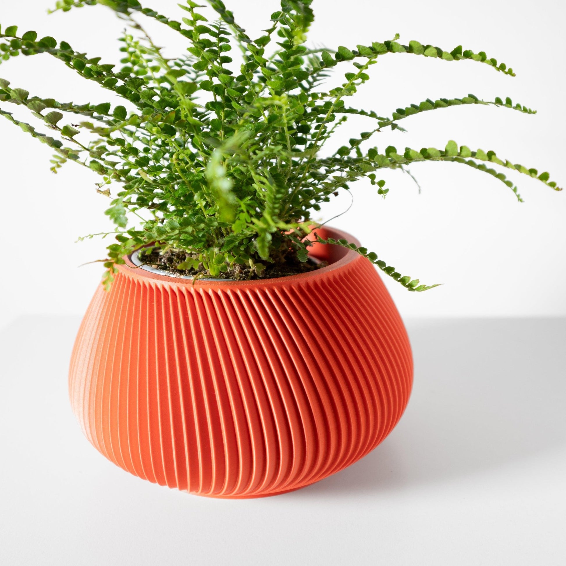 The "Davi" Planter - Modern Indoor Plant Pot and Container - WG Creative Co.