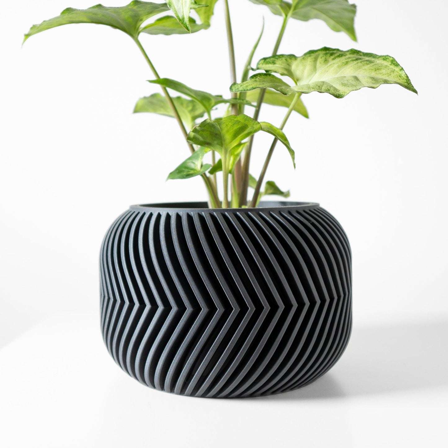 The "Ervon" Planter - Modern Indoor Plant Pot and Container - WG Creative Co.