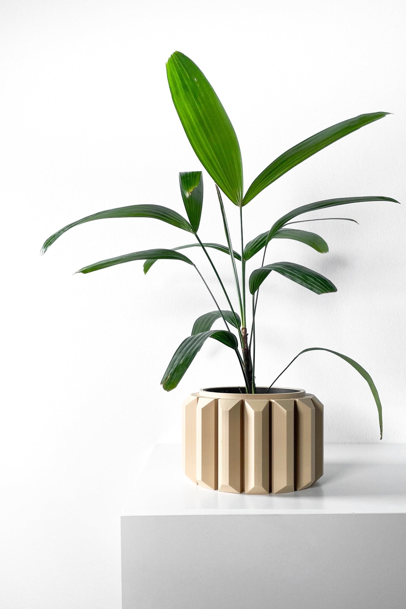 The "Ferix" Planter - Modern Indoor Plant Pot and Container - WG Creative Co.