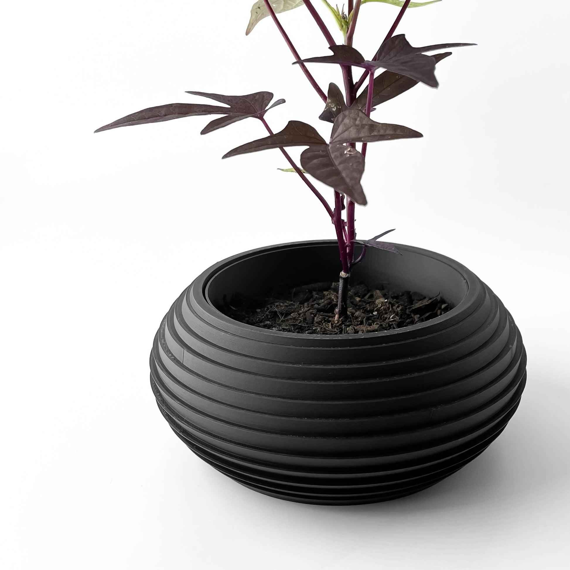 The "Frons" Planter - Modern Indoor Plant Pot and Container - WG Creative Co.