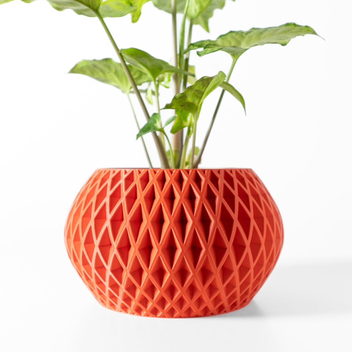 The "Gisar" Planter - Modern Indoor Plant Pot and Container - WG Creative Co.