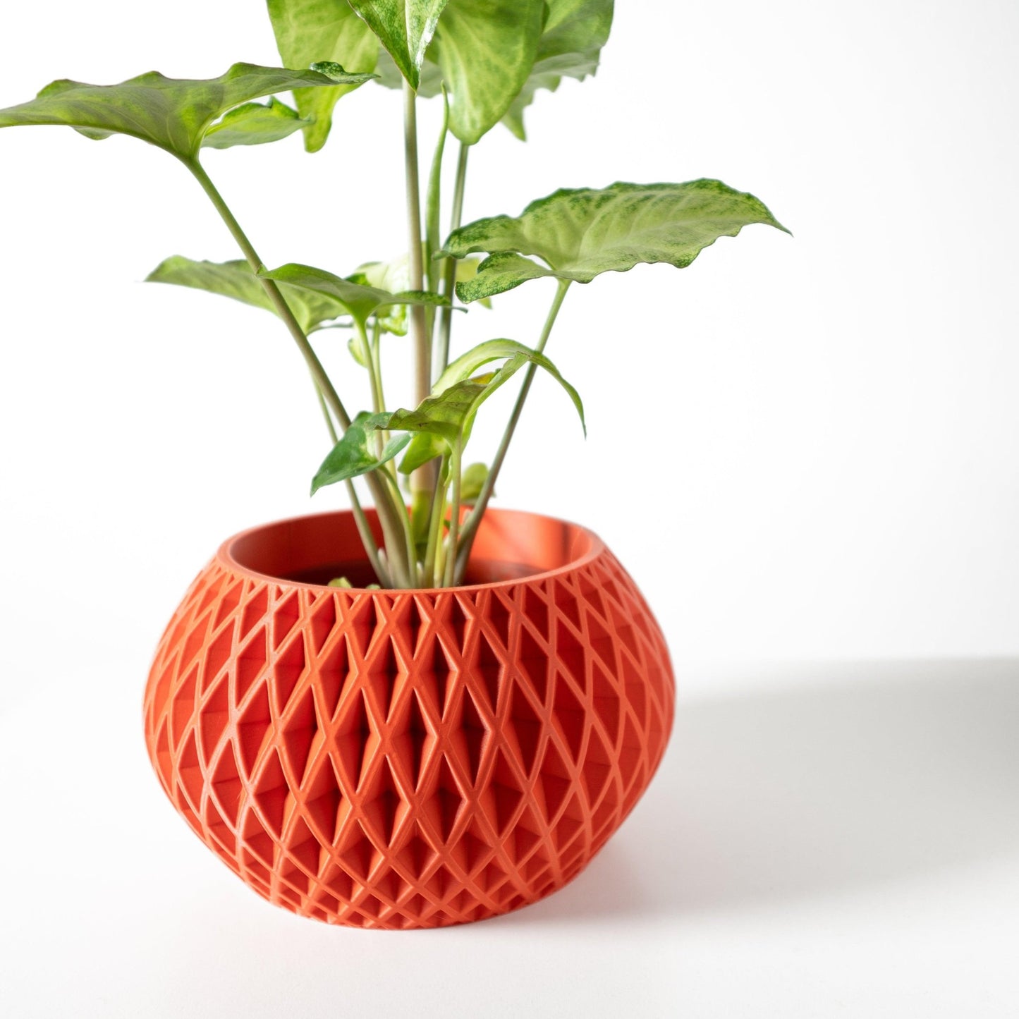 The "Gisar" Planter - Modern Indoor Plant Pot and Container - WG Creative Co.