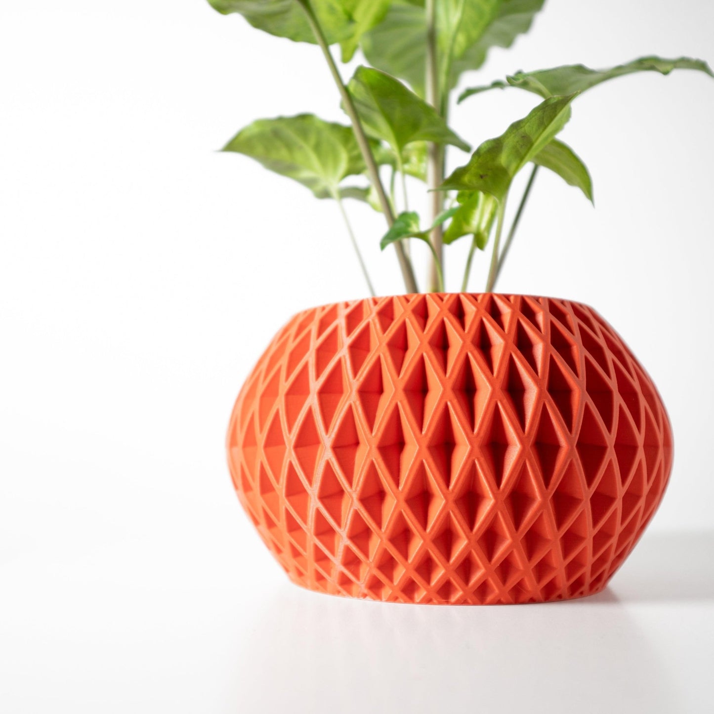 The "Gisar" Planter - Modern Indoor Plant Pot and Container - WG Creative Co.