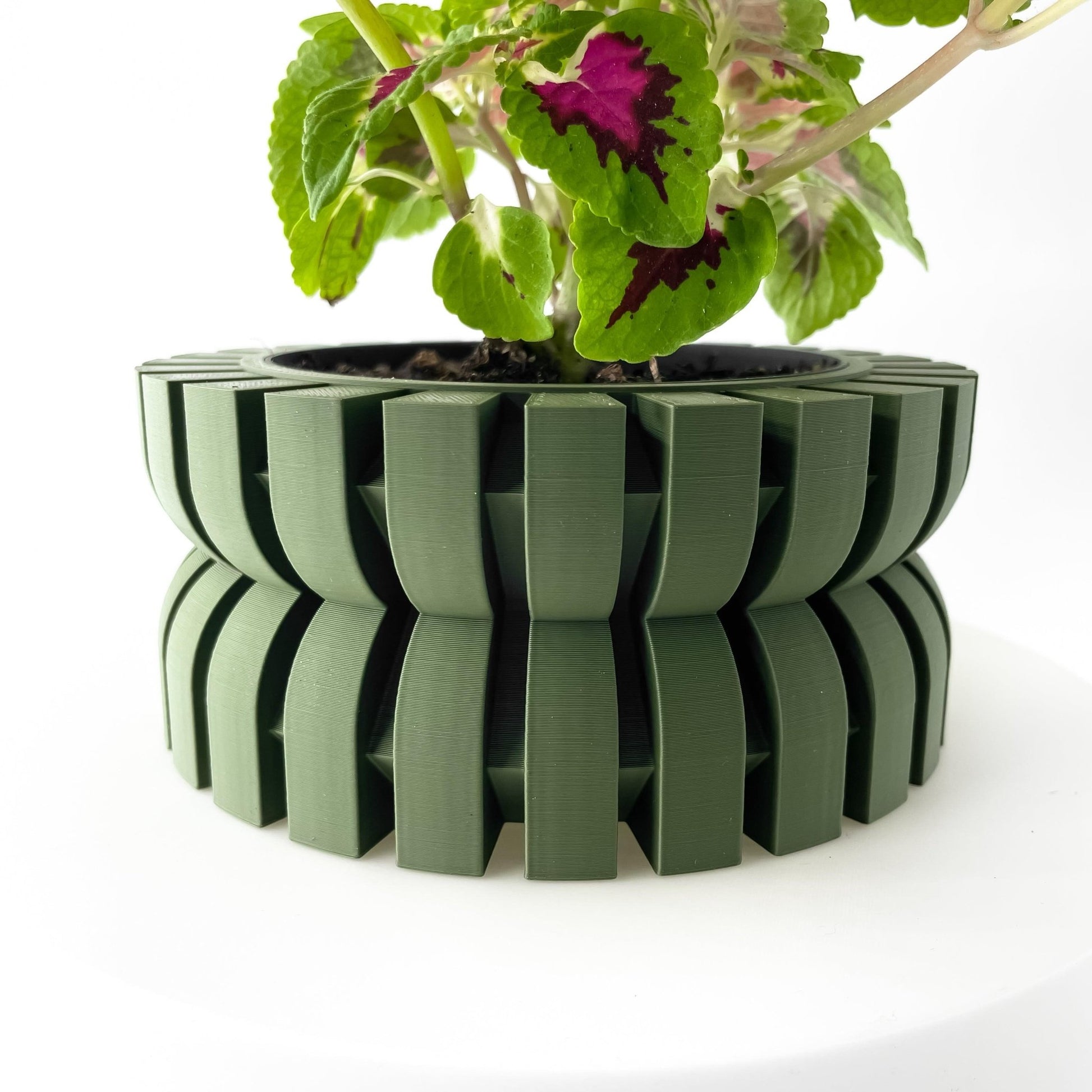 The "Griva" Planter - Modern Indoor Plant Pot and Container - WG Creative Co.