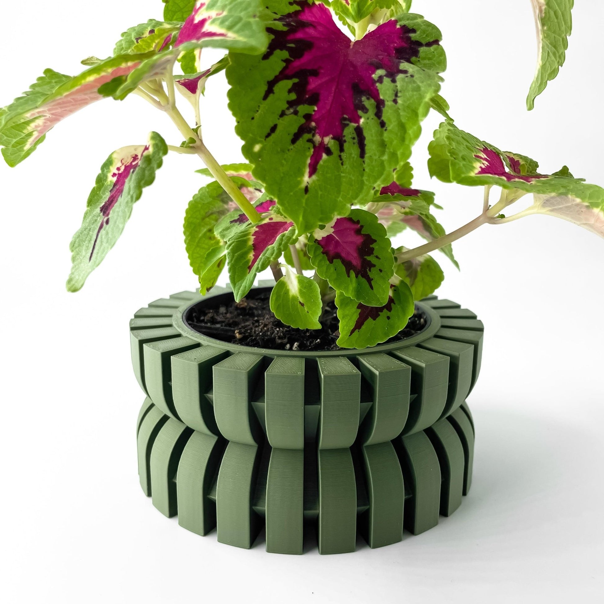 The "Griva" Planter - Modern Indoor Plant Pot and Container - WG Creative Co.