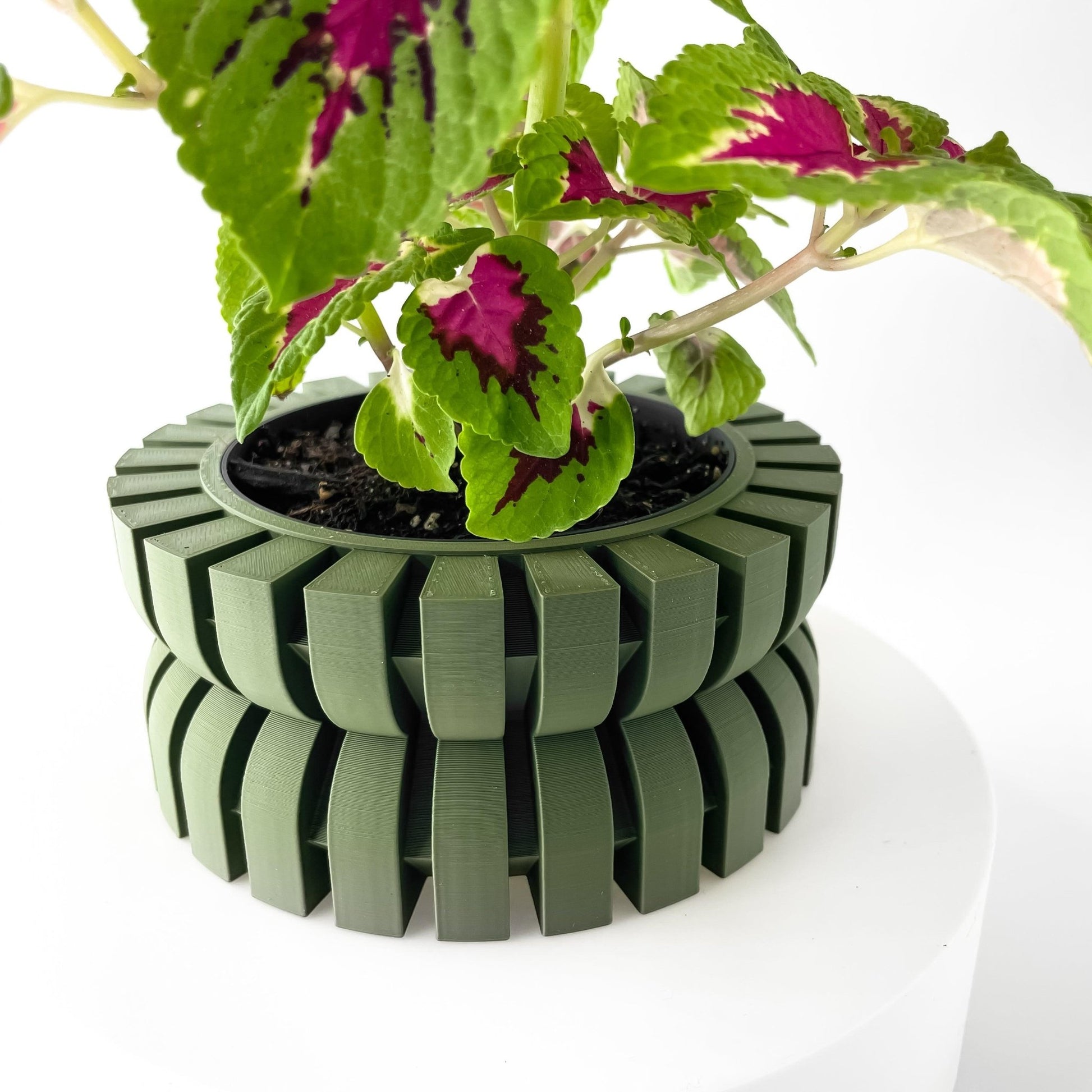 The "Griva" Planter - Modern Indoor Plant Pot and Container - WG Creative Co.