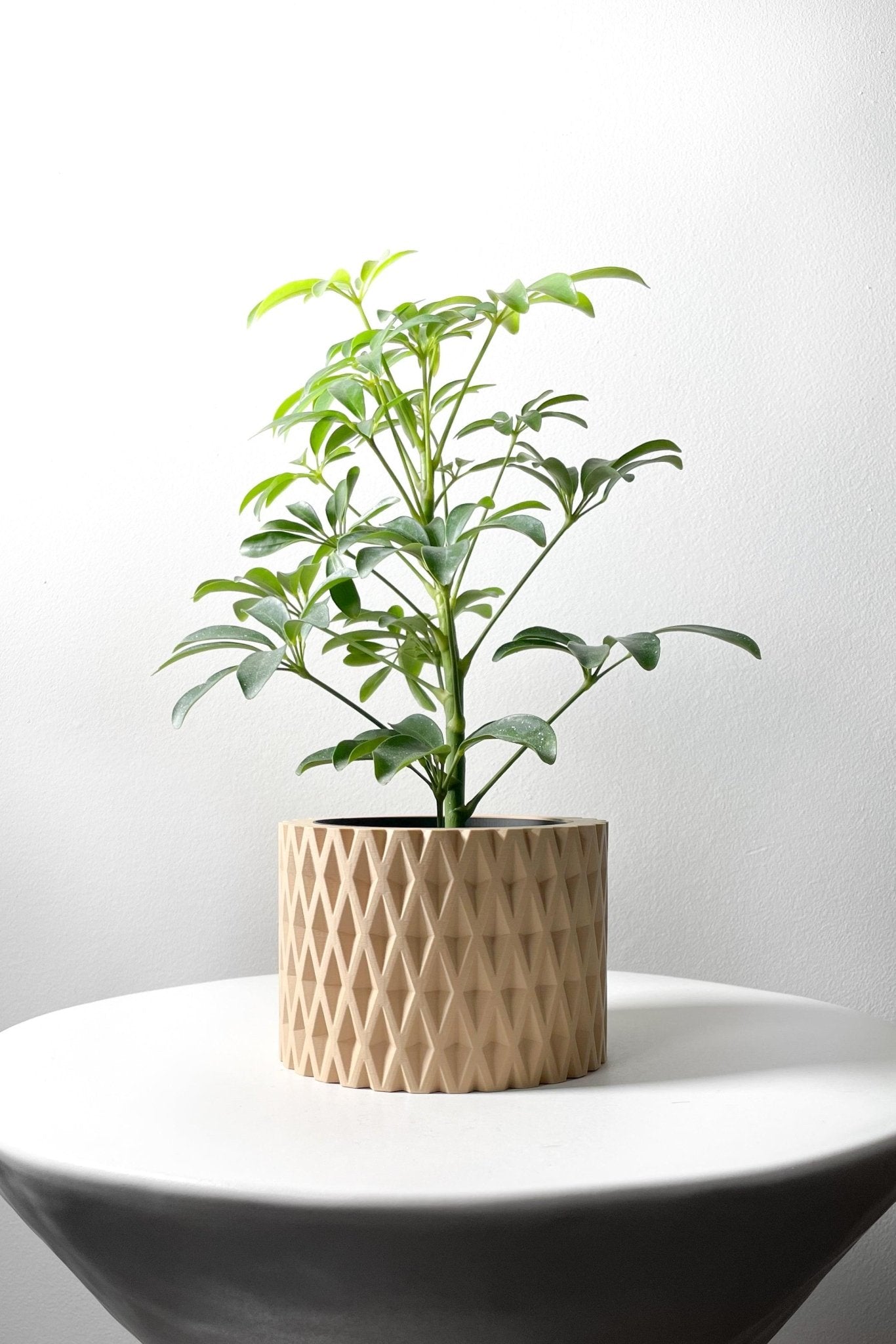 The "Grivan" Planter - Modern Indoor Plant Pot and Container - WG Creative Co.