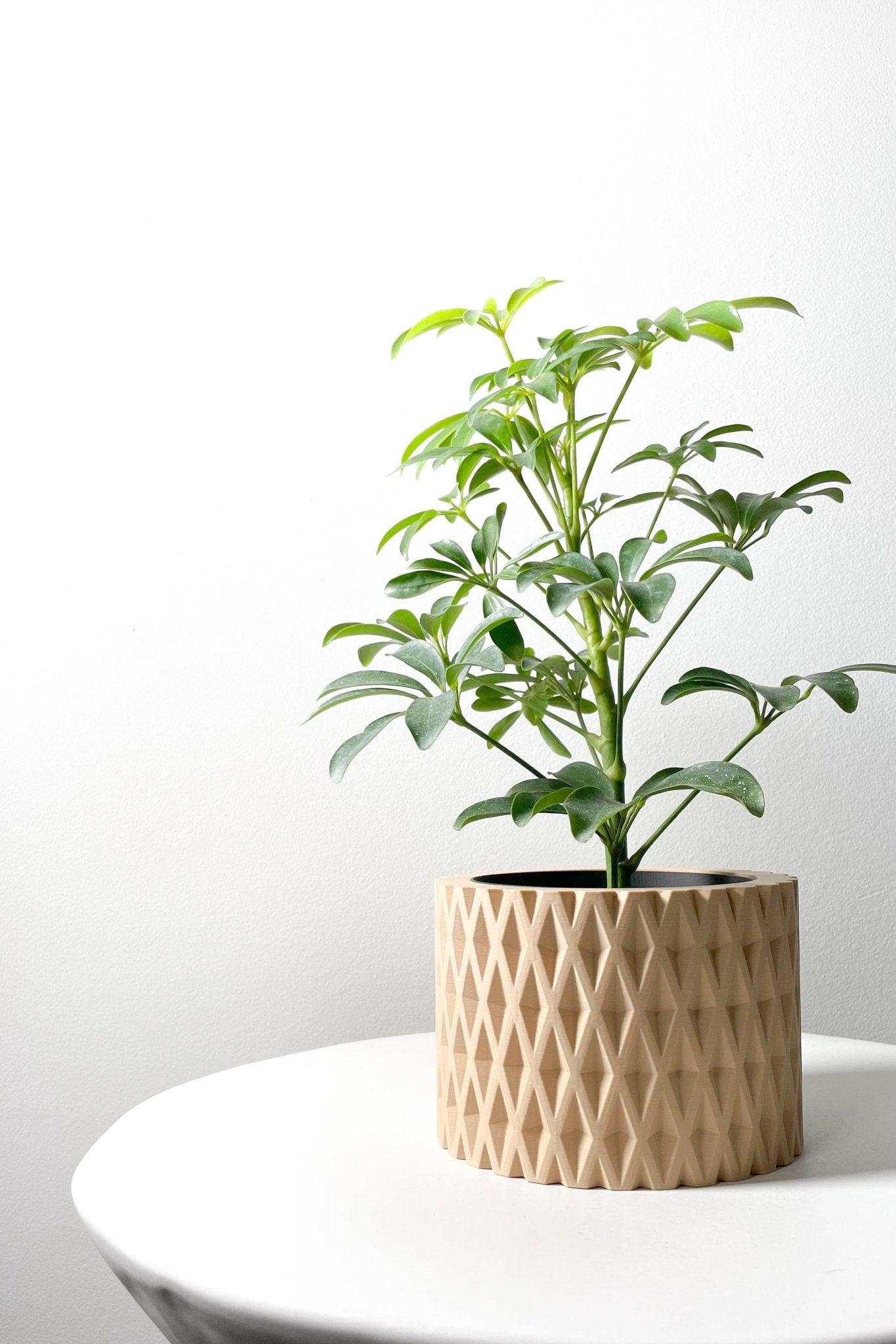 The "Grivan" Planter - Modern Indoor Plant Pot and Container - WG Creative Co.