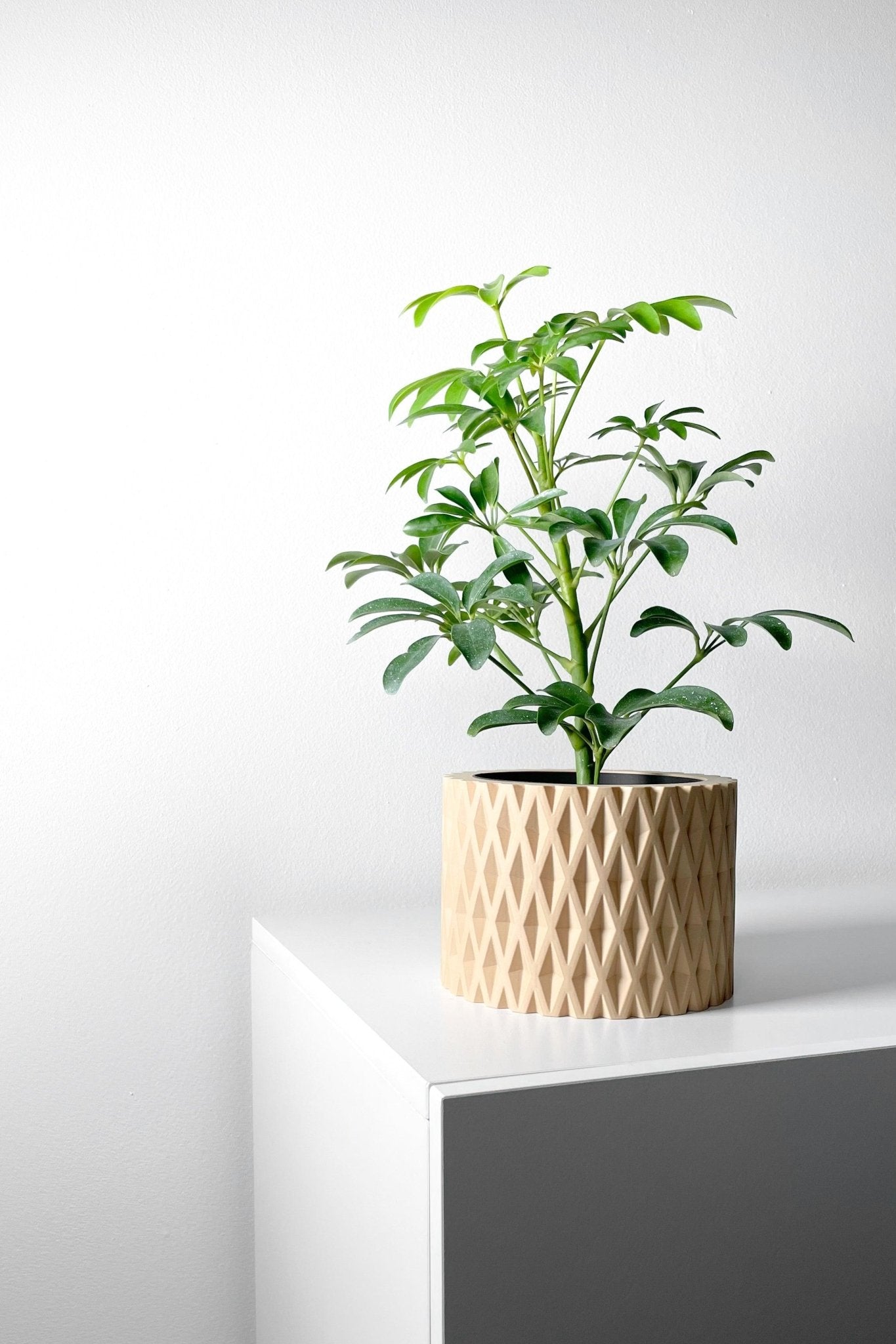 The "Grivan" Planter - Modern Indoor Plant Pot and Container - WG Creative Co.