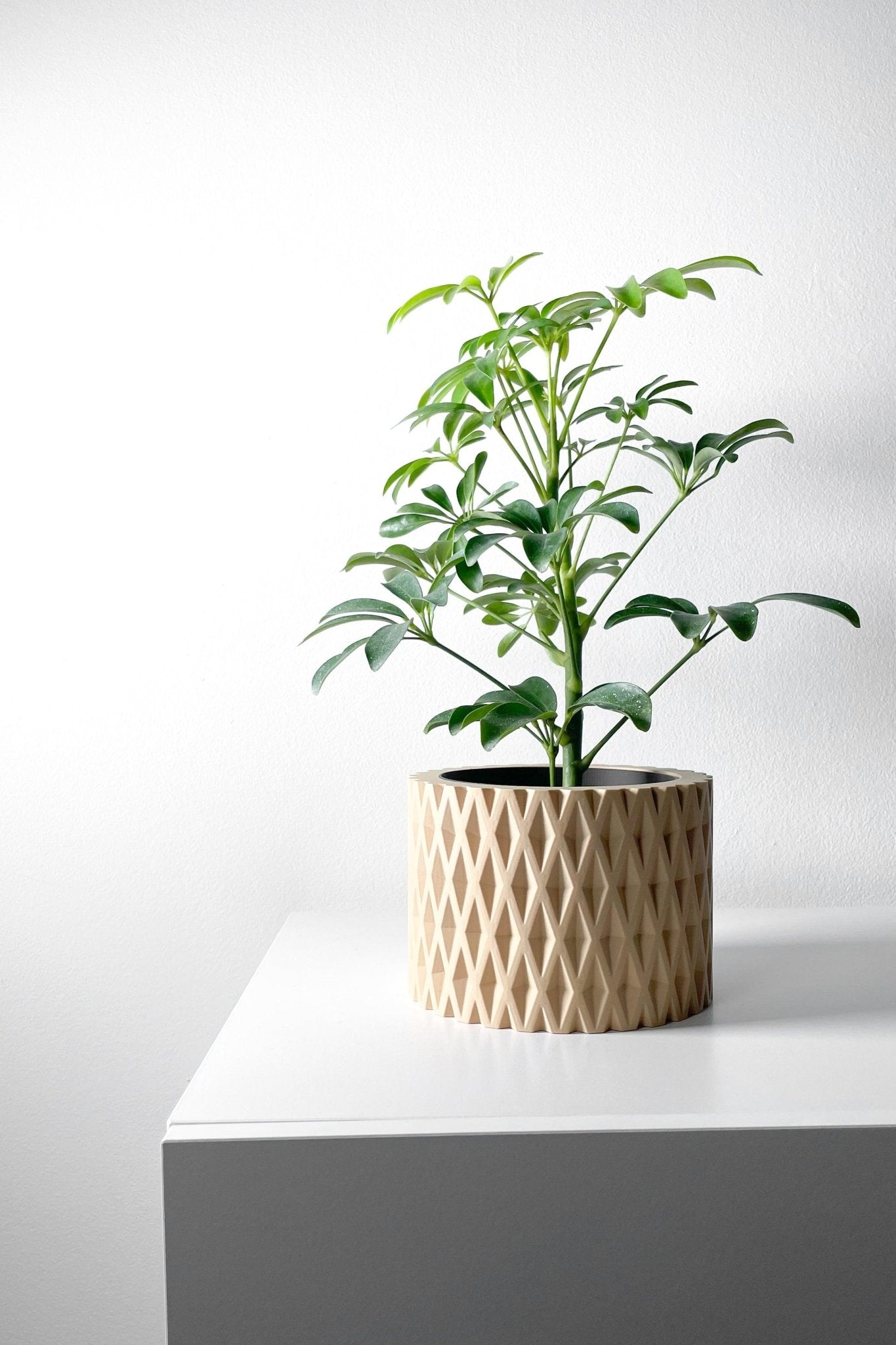 The "Grivan" Planter - Modern Indoor Plant Pot and Container - WG Creative Co.